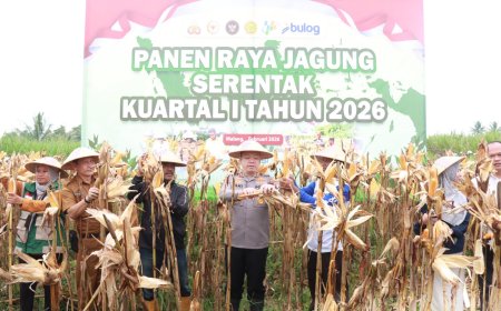 Polres Malang Panen Raya Jagung, Hasil 8 Ton untuk Dukung Stok Pangan