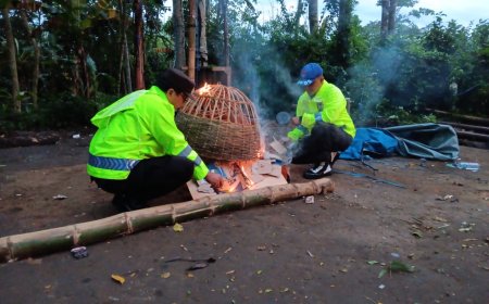 Polres Malang Bongkar Arena Sabung Ayam di Sumberpucung, Berawal dari Laporan 110