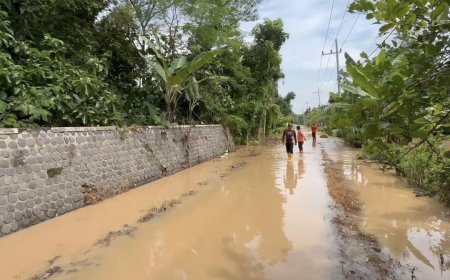 Hujan Deras, Empat Desa dan Sawah Terendam Banjir Setinggi 1,5 Meter di Madiun