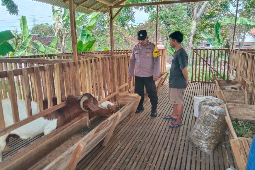 Dukung Ketahanan Pangan, Bhabinkamtibmas Desa Simo Polsek Balerejo Sambangi Peternak di Desa Simo